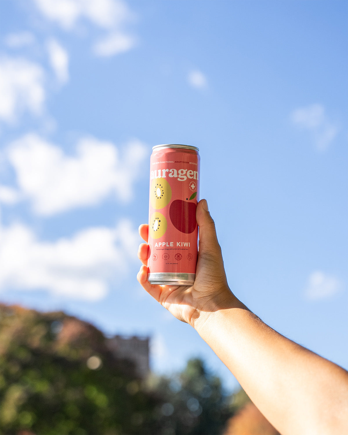 Apple Kiwi - 12 Pack