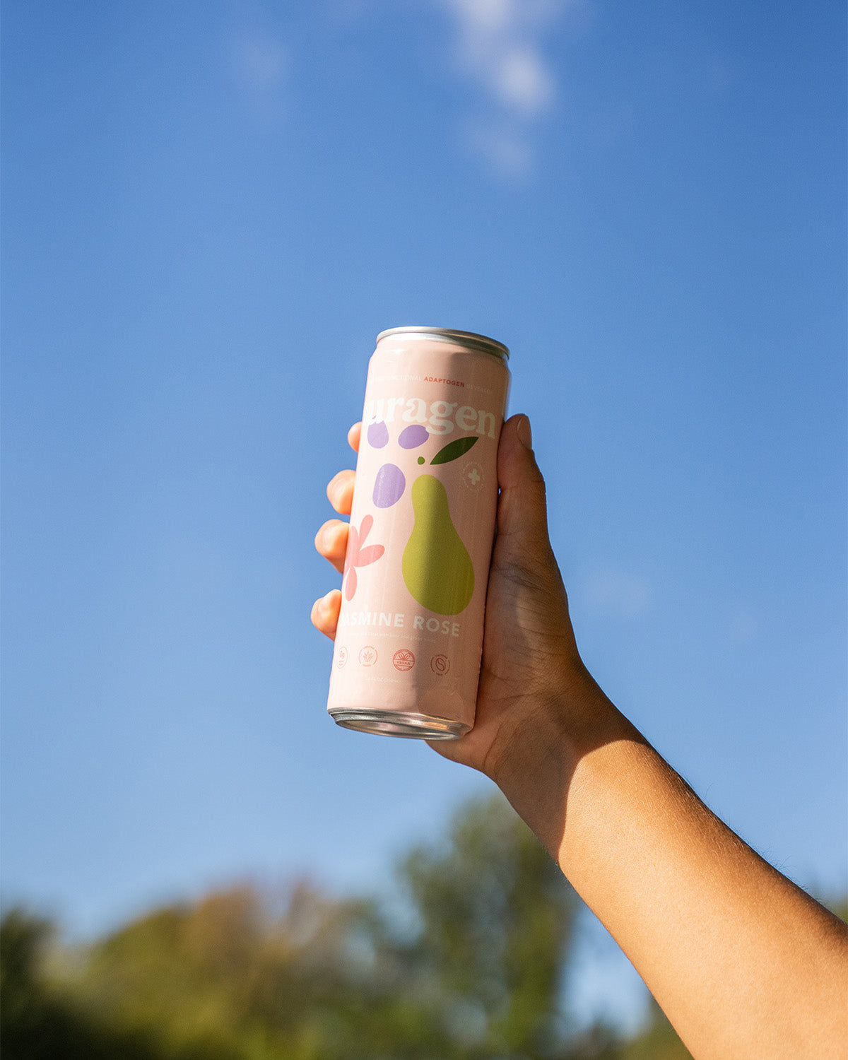 Jasmine Rose - 12 Pack