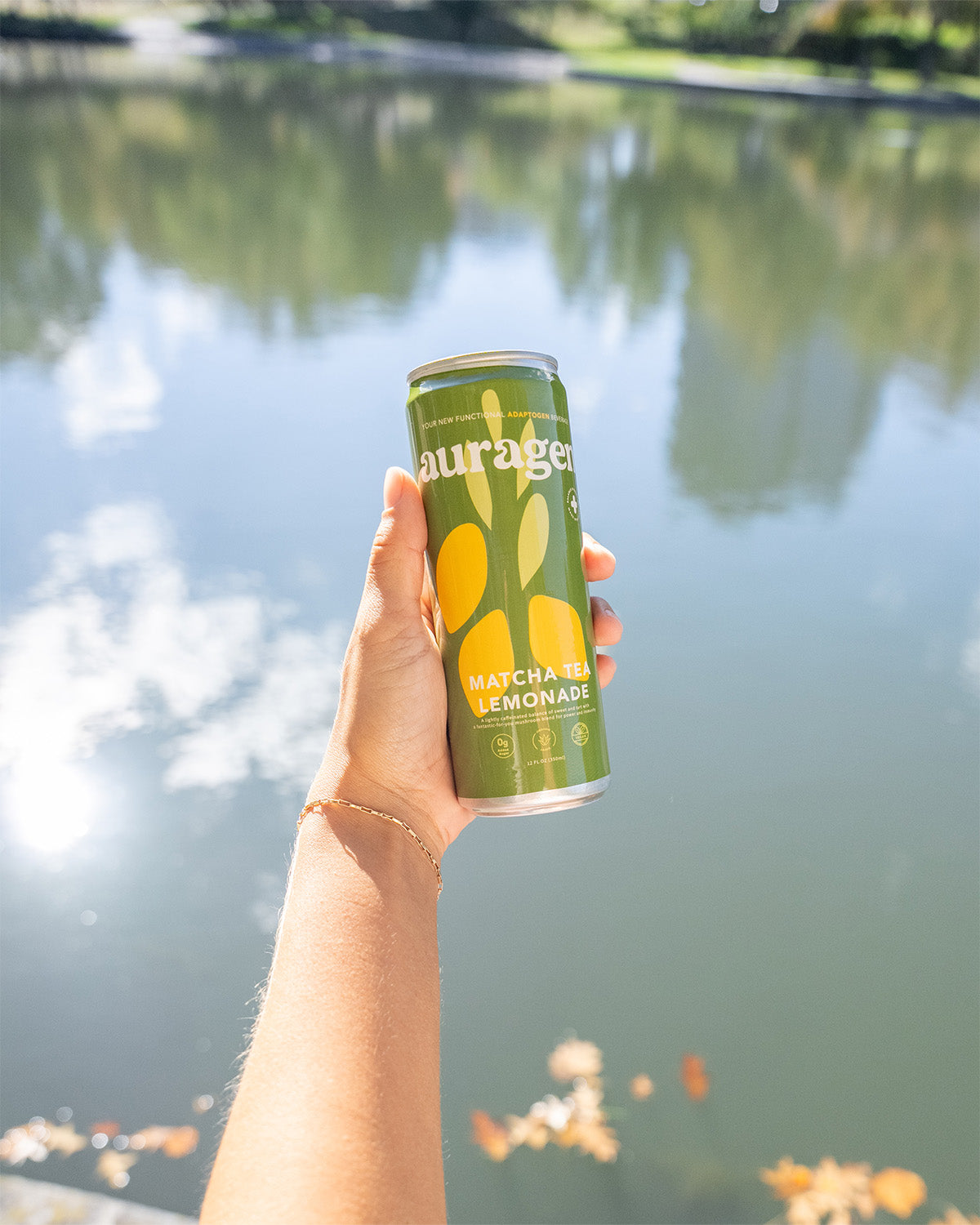 Matcha Tea Lemonade - 12 Pack