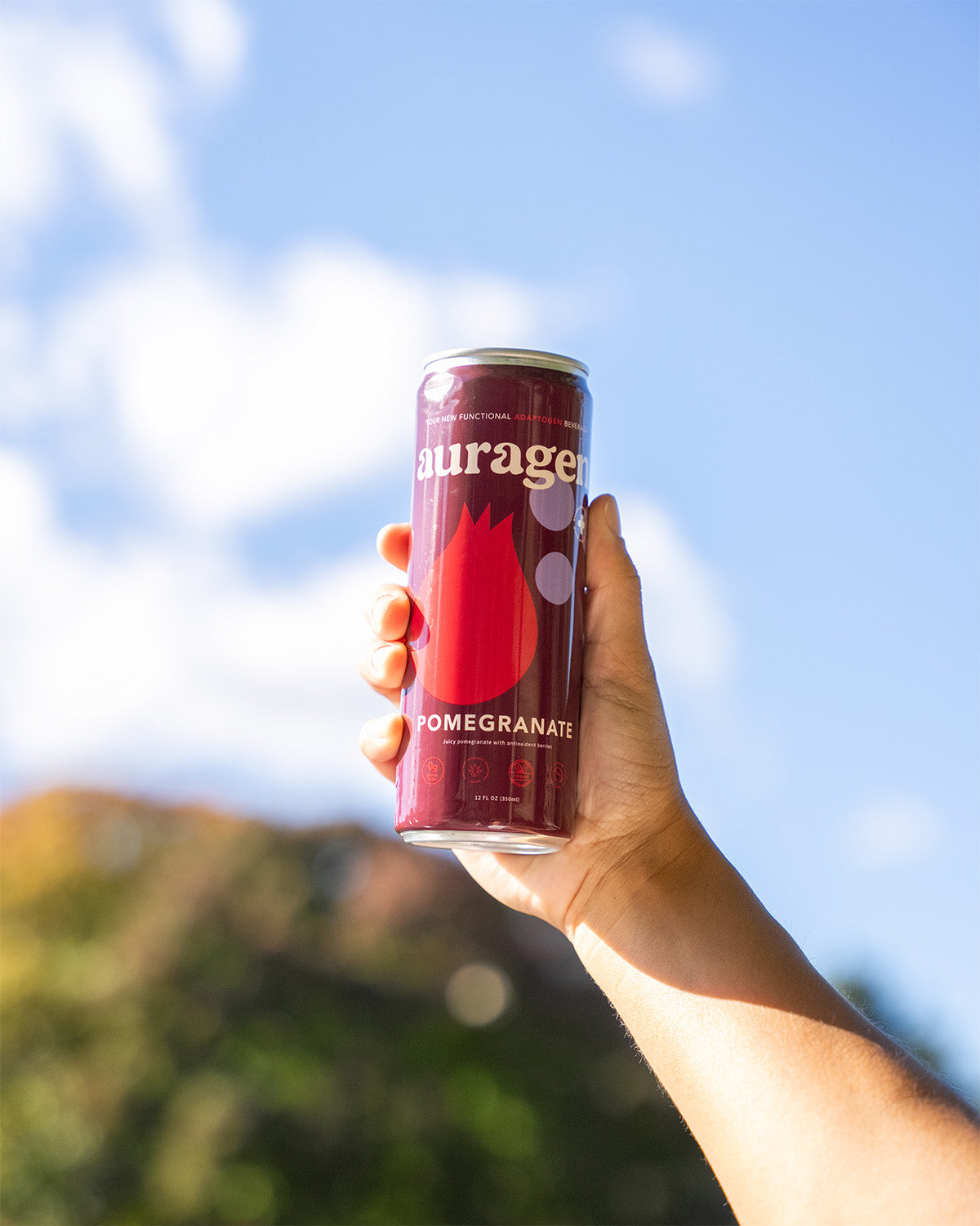 Pomegranate - 12 Pack